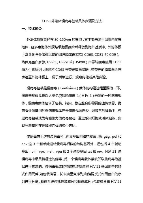 CD63外泌体慢病毒包装具体步骤及方法