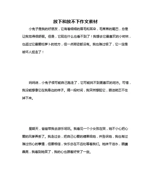 放下和放不下作文素材