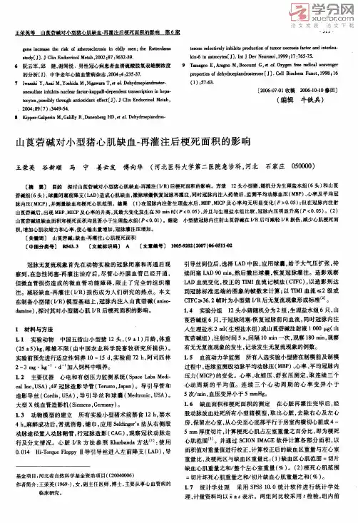 山莨菪碱对小型猪心肌缺血再灌注后梗死面积的影响