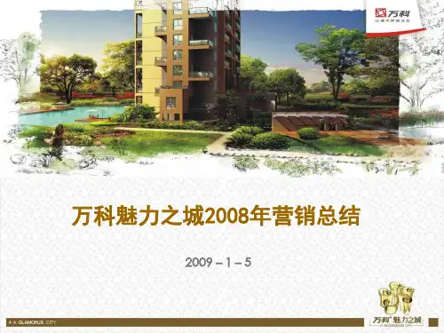 某地产魅力之城营销总结报告