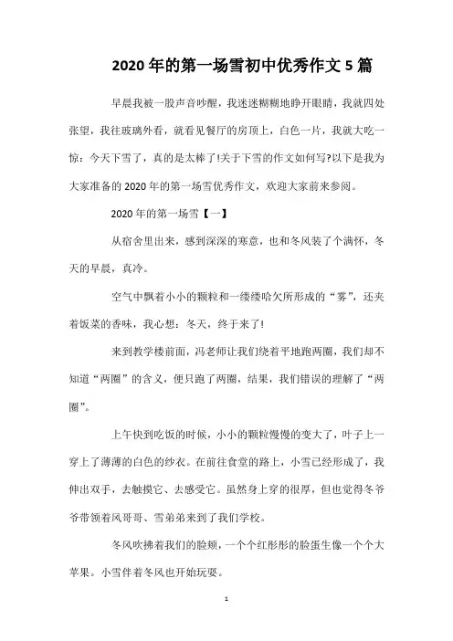 2020年的第一场雪初中优秀作文5篇