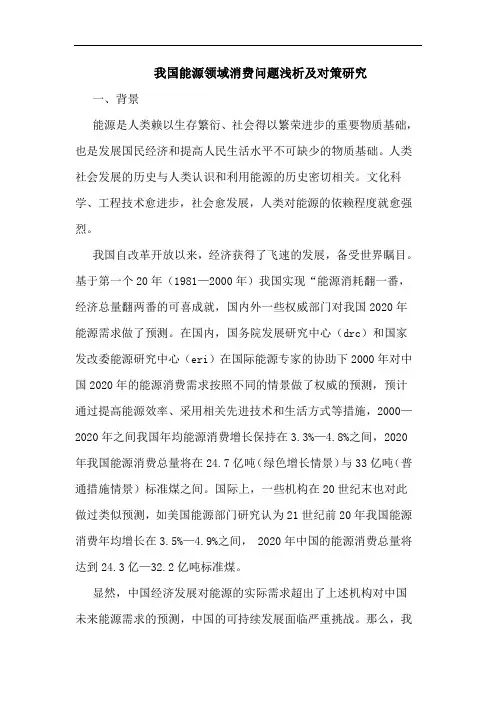 我国能源领域消费问题对策论文