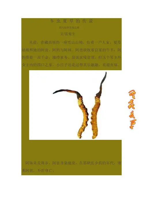 冬 虫 夏 草 的 传 说