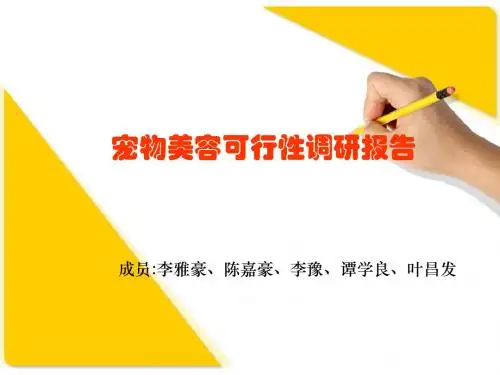 宠物美容可行性调研报告ppt