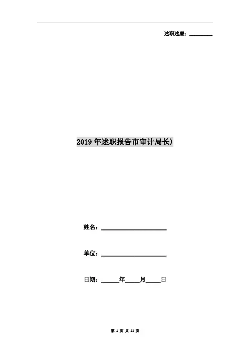 2019年述职报告市审计局长)