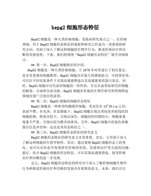 hepg2细胞形态特征
