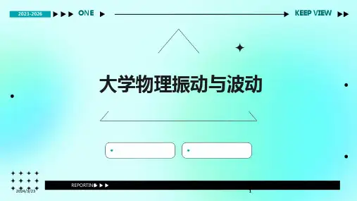 2024年度大学物理振动与波动