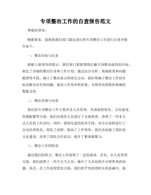 专项整治工作的自查报告范文