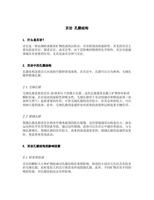 页岩 孔隙结构