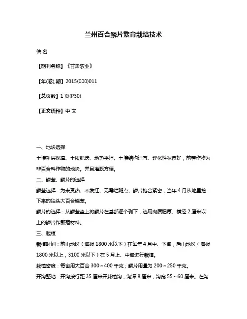 兰州百合鳞片繁育栽培技术