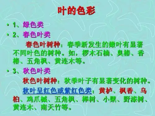 叶的色彩