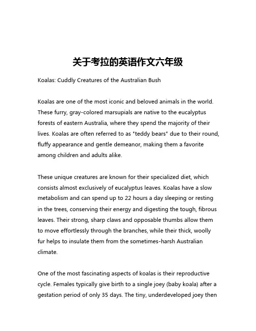 关于考拉的英语作文六年级