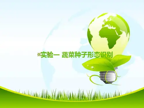 蔬菜种子形态识别