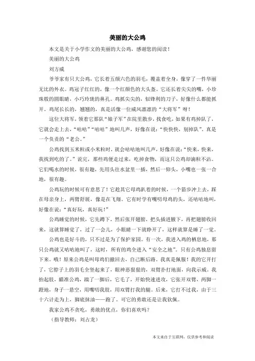 美丽的大公鸡_小学作文_7