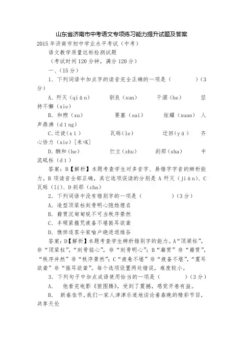 山东省济南市中考语文专项练习能力提升试题及答案_5