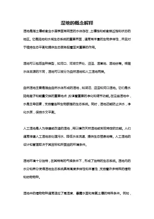 湿地的概念解释
