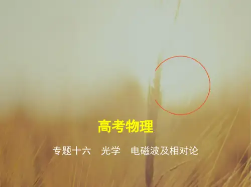 2019版高考物理江苏版一轮配套课件：专题十六 光学 电磁波及相对论 精品