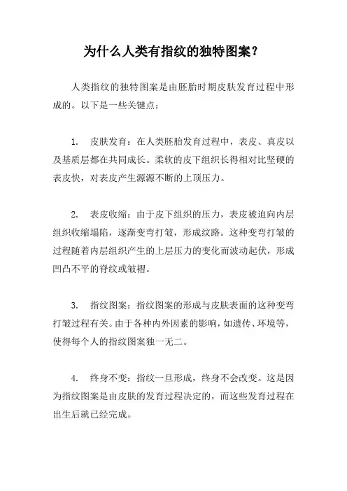 为什么人类有指纹的独特图案