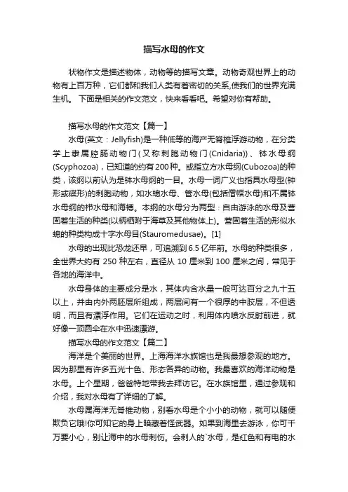描写水母的作文范文