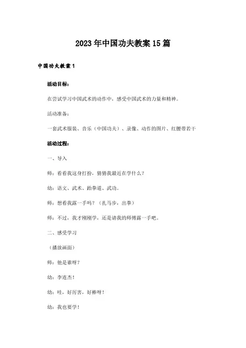 2023年中国功夫教案15篇