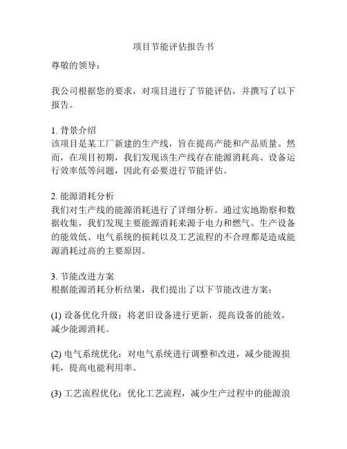 项目节能评估报告书