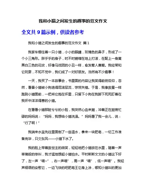 我和小猫之间发生的趣事的范文作文