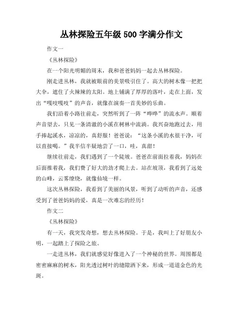 丛林探险五年级500字满分作文