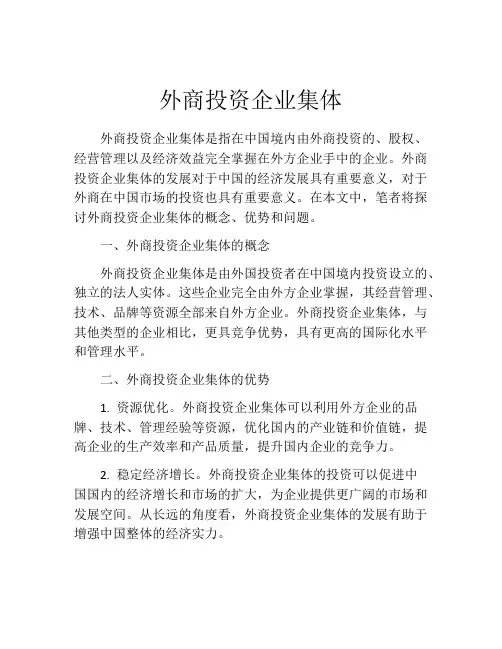 外商投资企业集体 (10)