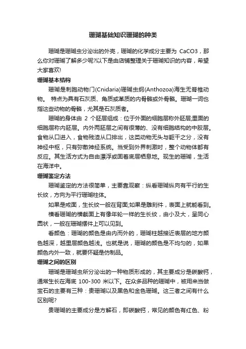 珊瑚基础知识珊瑚的种类