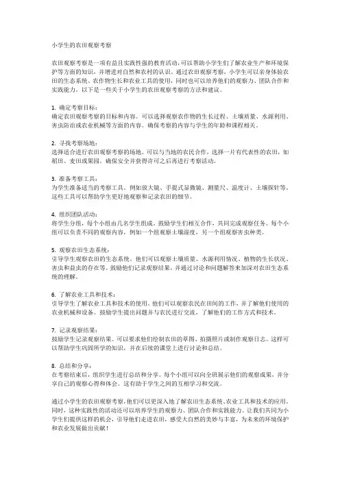 小学生的农田观察考察