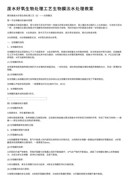 废水好氧生物处理工艺生物膜法水处理教案