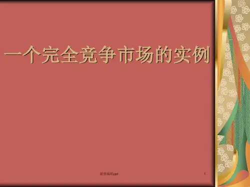 经济学案例分析ppt课件