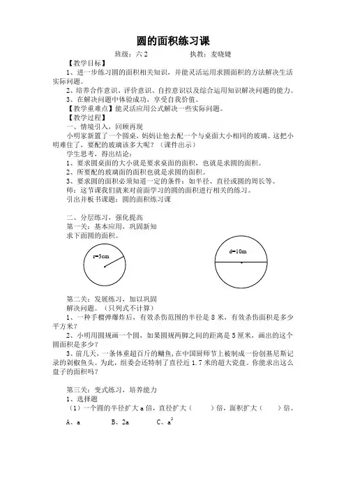 圆的面积练习公开课教案