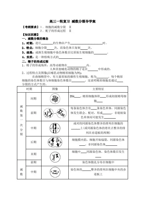 高三一轮复习 减数分裂导学案