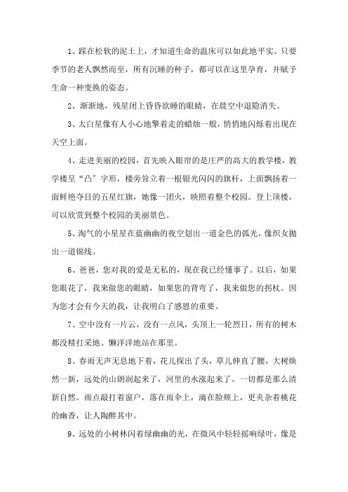 校园生活优美句子大全精选