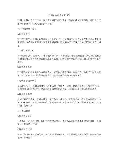 自查自纠报告大队城管