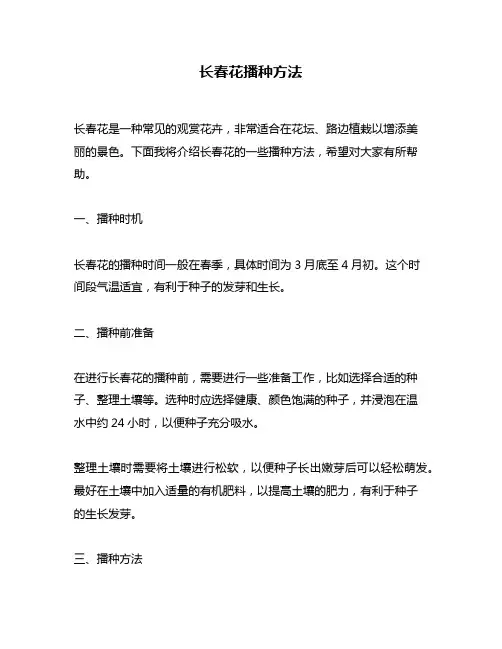 长春花播种方法