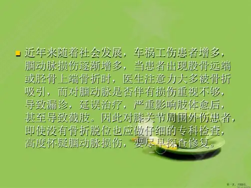 腘动脉损伤