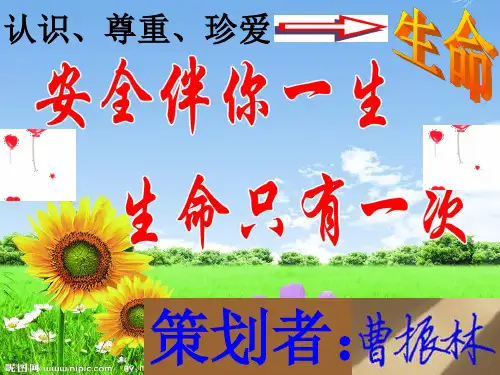 认识生命、尊重生命、珍爱生命活动