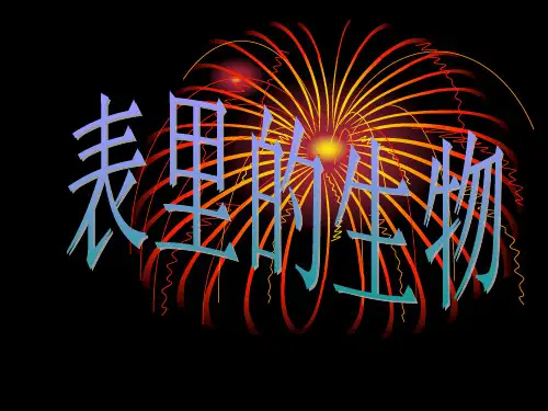 S版六年级上册 表里的生物 ppt课件