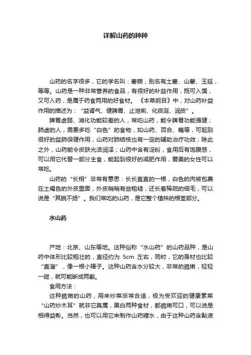 详解山药的种种