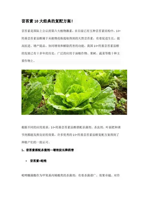 芸苔素10大经典的复配方案