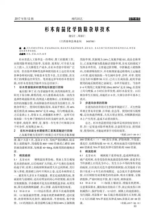 杉木育苗化学防除杂草技术