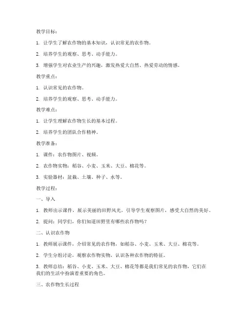 农业综合实践教案大班