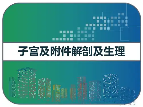 子宫及附件解剖及生理 PPT