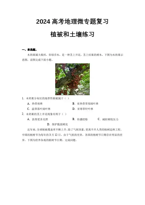 2024高考地理微专题复习植被和土壤练习