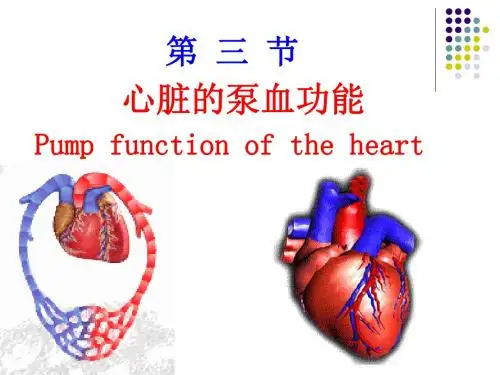 心脏泵血临床医学生理人体生理学课件