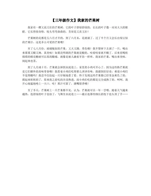【三年级作文】我家的芒果树