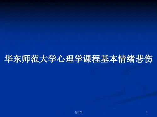 华东师范大学心理学课程基本情绪悲伤PPT学习教案