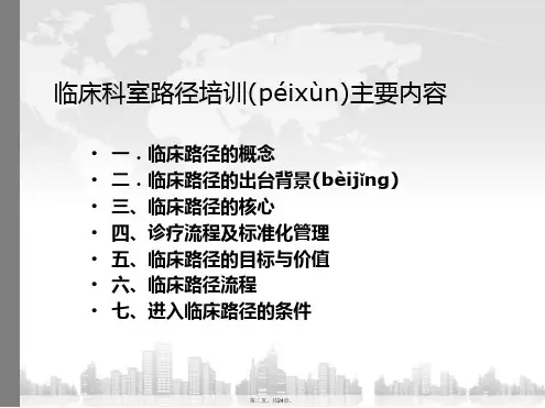 临床路径培训资料上课讲义